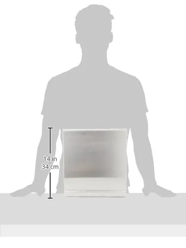 Blomus Nexio 66656 Dispenser Carta Igienica Argento