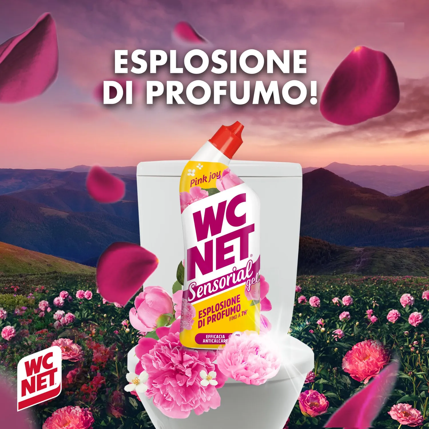 Wc Net Sensorial Pink Joy gel WC peonia 700 ml