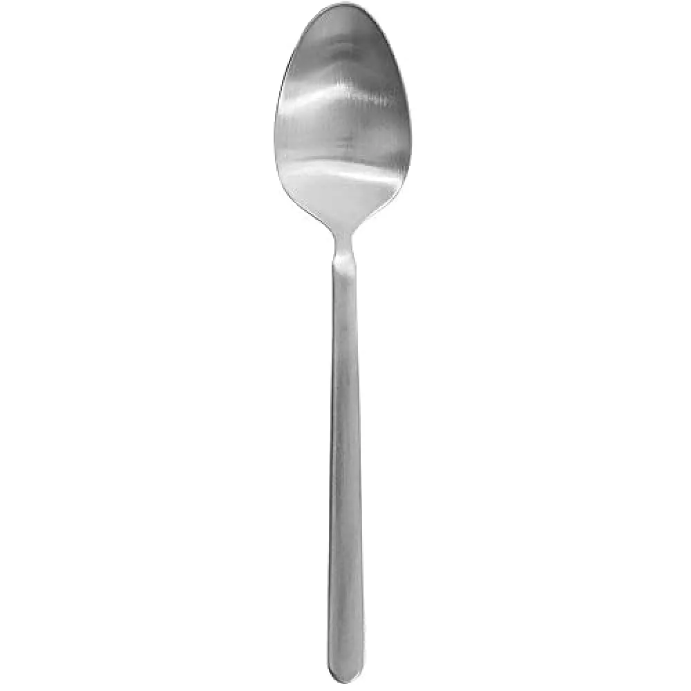 Blomus 63826 cucchiaino te inox opaco 15 cm