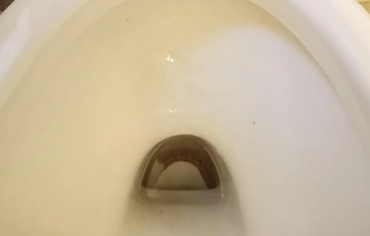 WC Net Energy disincrostante polvere 12 confezioni