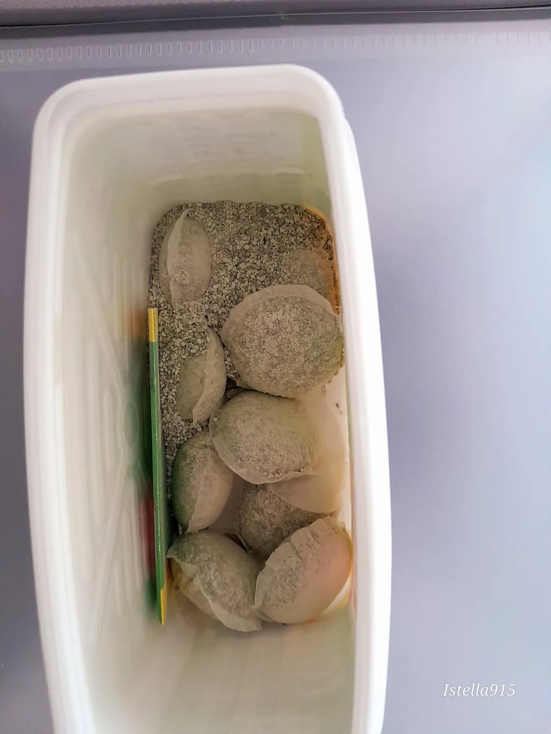 WC Net Professional capsule fosse biologiche 20 pz enzimi