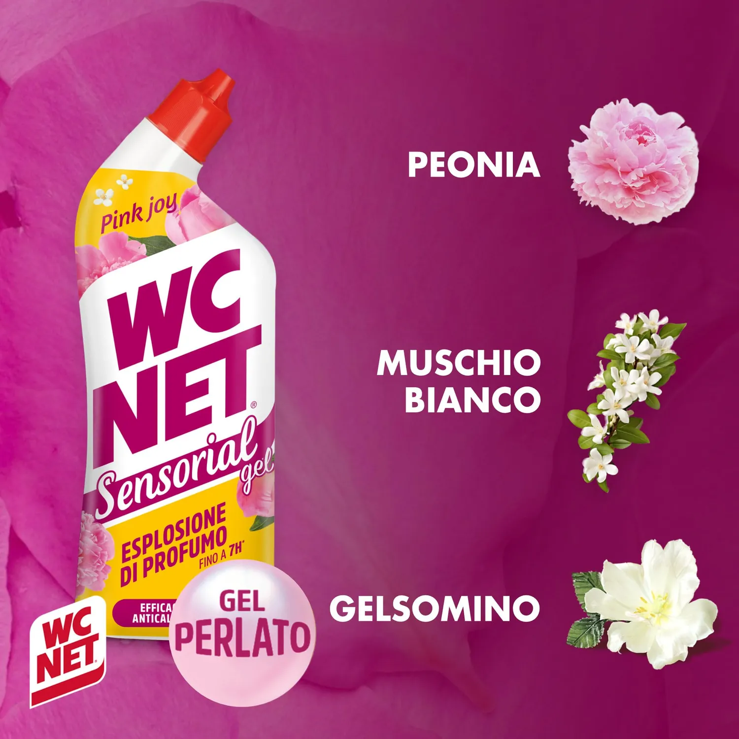 Wc Net Sensorial Pink Joy gel WC peonia 700 ml