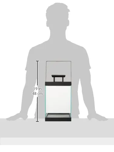 Blomus Finca 63687 Lanterna M 36,5 cm Nera da Interno