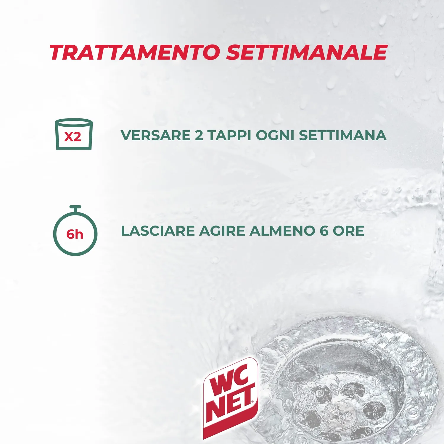 Wc Net Professional disgorgante scarichi pino 1000 ml biologico