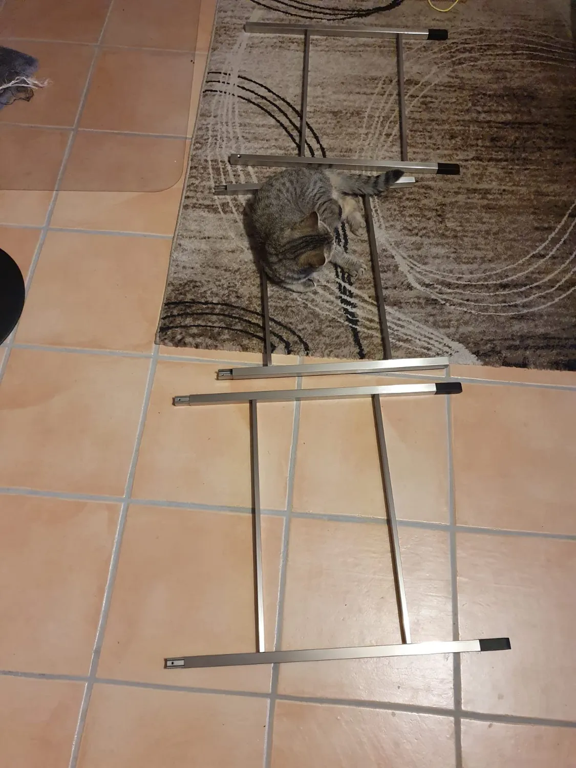 Blomus Menoto 68951 scala portasciugamani inox 171 cm