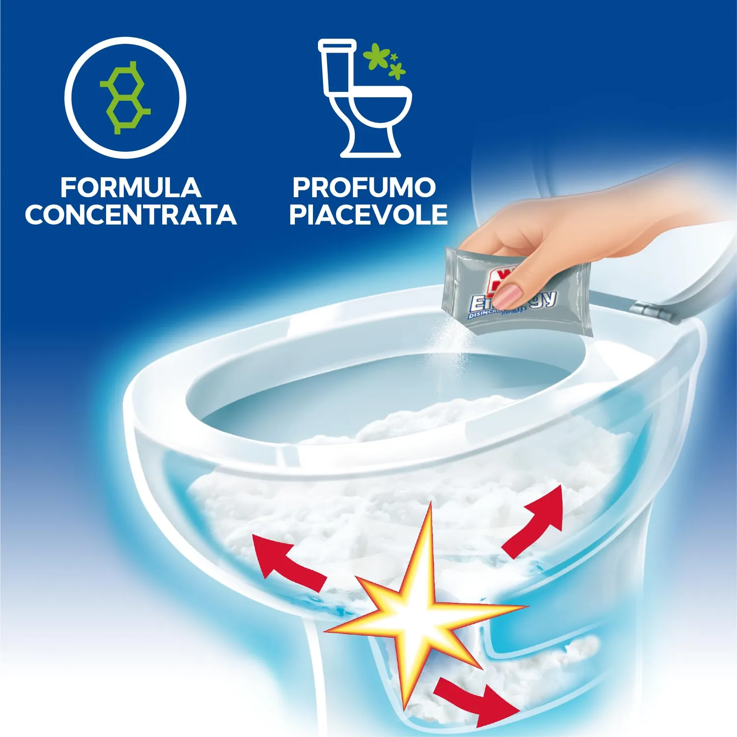WC Net Energy disincrostante polvere 12 confezioni
