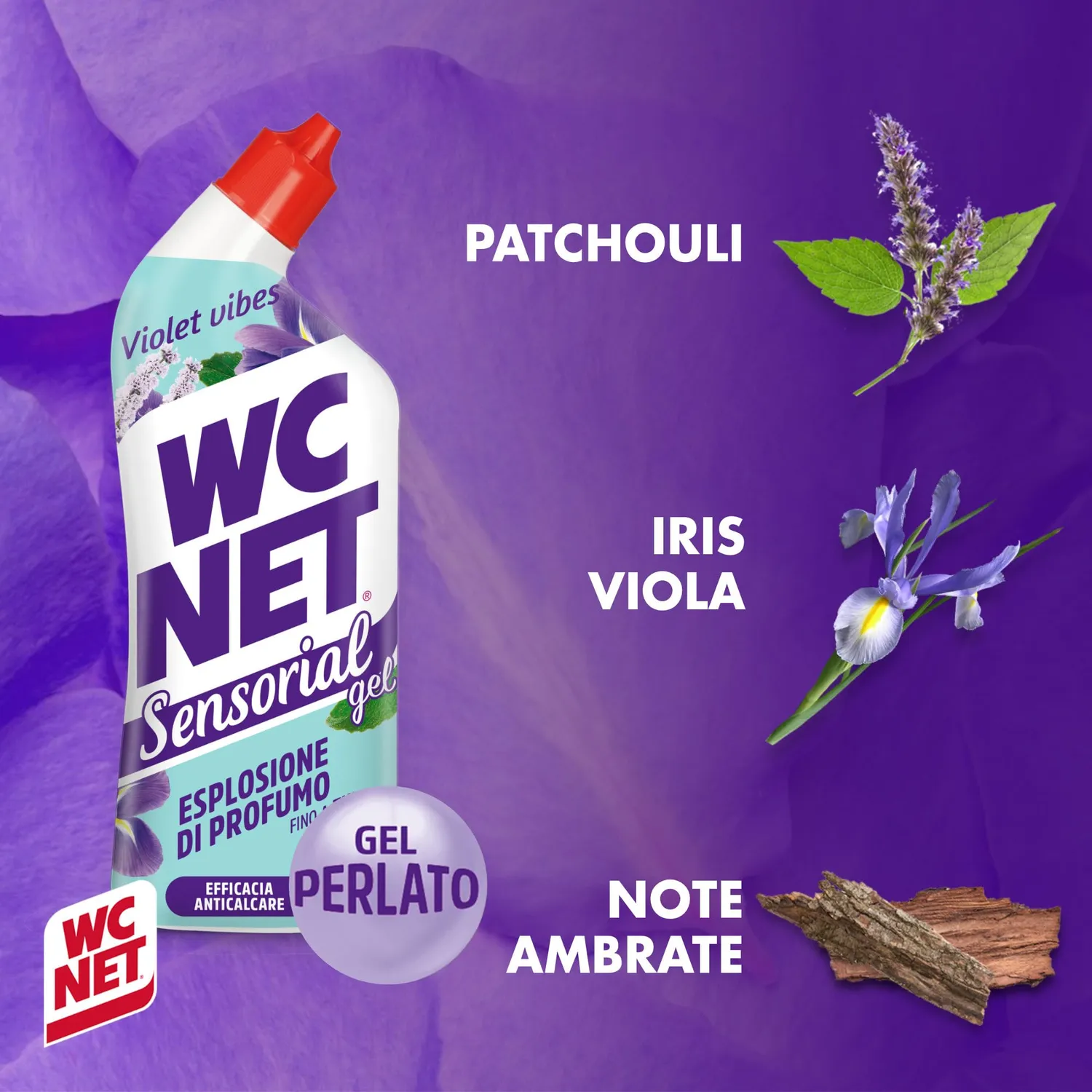 Wc Net Violet Vibes gel wc 12x700 ml iris e patchouli