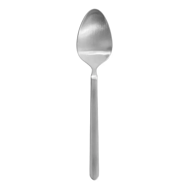 Blomus 63825 cucchiaio acciaio inox opaco 20 cm