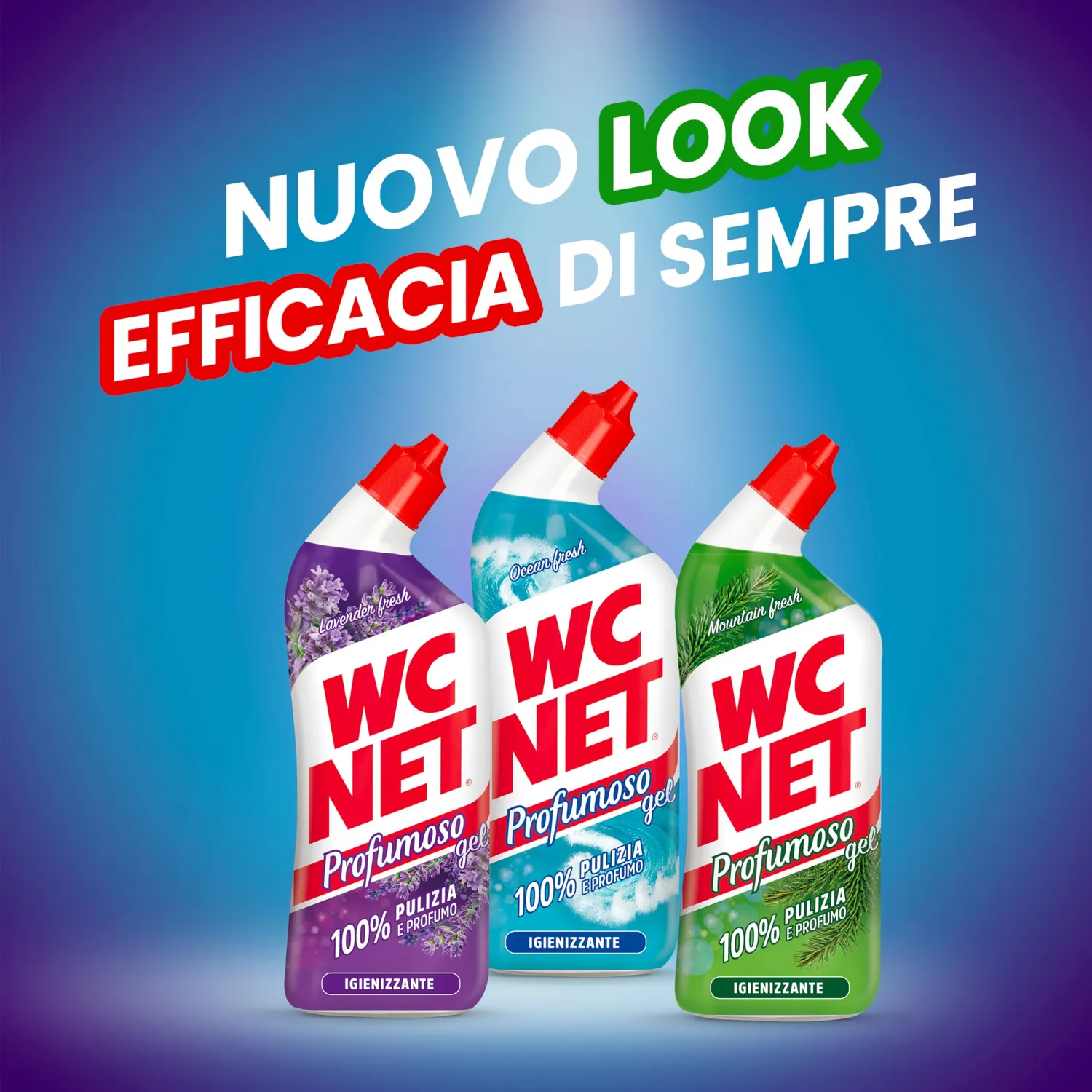 Wc Net Profumoso gel wc assortito 700 ml x 12 anticalcare